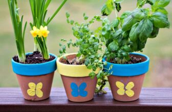 Gifts Any Mother Would Love on Mother’s Day