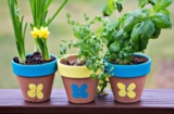 Gifts Any Mother Would Love on Mother’s Day